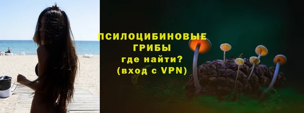 молекула духа Армянск