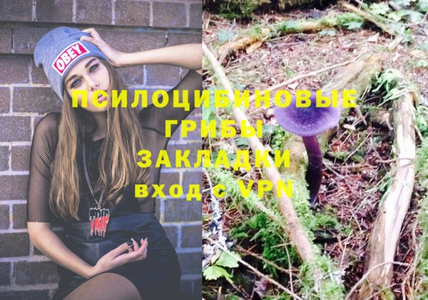 молекула духа Армянск