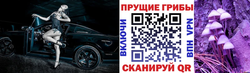 Псилоцибиновые грибы мухоморы  Сочи 